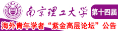 操屄视频网南京理工大学第十四届海外青年学者紫金论坛诚邀海内外英才！